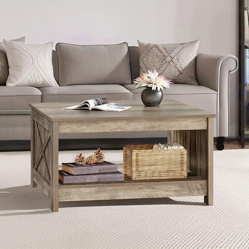 DWVO Square Coffee Table for Living Room, Farmhouse Coffee Table with Storage, 2-Tier Wood Coffee Tables Center Table with Half Open Storage Compartment, Rustic Grey