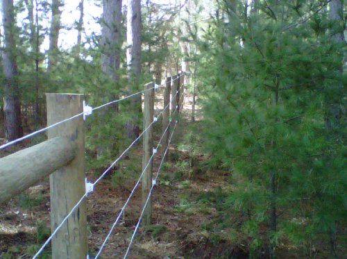 Viney Bayco Finish Line Durable Horse Fence 2000 Foot Roll…