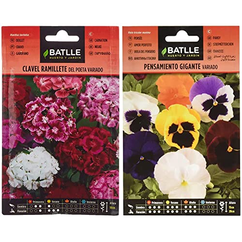 Semillas Batlle - Clavel RAMILLETE del Poeta Vdo. & Pensamiento Gigante VARIADO