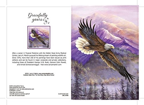 Scripture Greeting Cards-Kjv-Boxed-Birthday - "Eagle's Wings" (Box Of 12) #TOP7