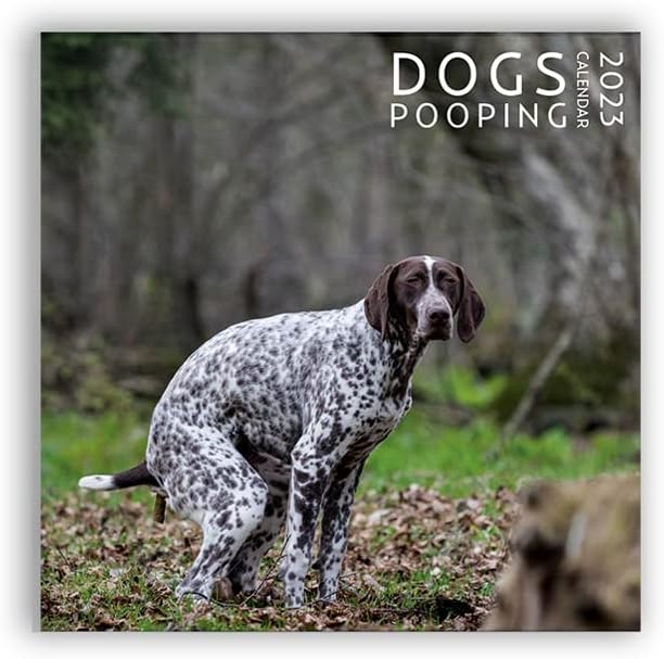 Amazon.com: Dog Pooping Calendar 2023, 12 x 12 inch, Funny Gift, White Elephant, Gag Gift, Secret Santa : Office Products Amazon.com: Dog Pooping Calendar 2023, 12 x 12 inch, Funny Gift, White Elephant, Gag Gift, Secret Santa : Office Products