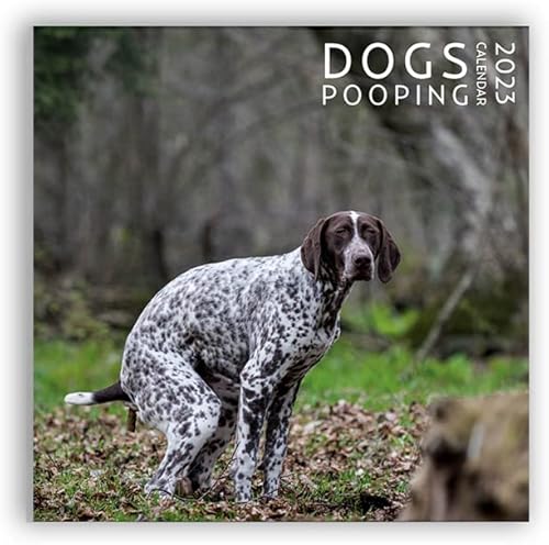 Dog Pooping Calendar 2023, 12 x 12 inch, Funny Gift, White Elephant, Gag Gift, Secret Santa