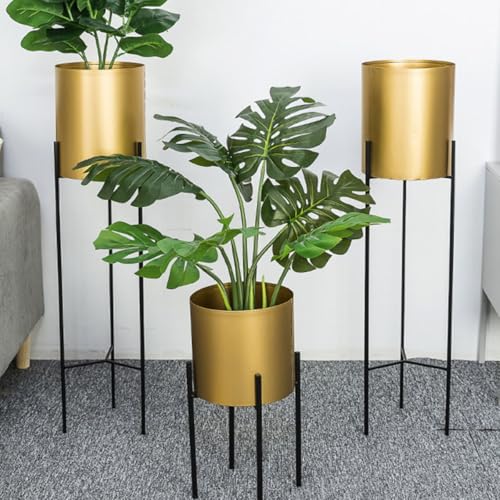 Vase solide et stable : protégez vos bouquets de fleurs séchées - 5