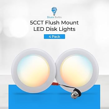 ぶるー 51mwbQb4u1L.jpg_BO30,255,255,