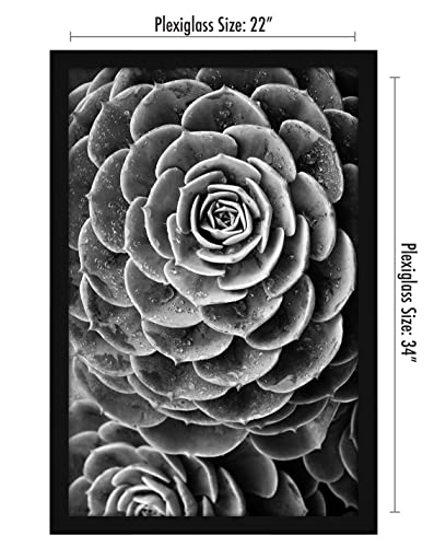 Americanflat 22x34 Poster Frame with Polished Plexiglass - Black Picture Frame - Wide Photo Frames Made of Engineered Wood for Vertical or Horizontal Wall Display - Epic Collection - Black