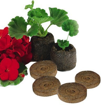 Elixir GardensJiffy 7 36mm Extra Deep Plug Pellets x 100