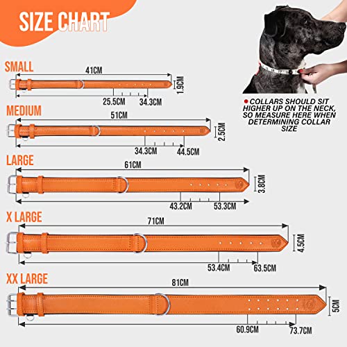 Riparo Echtes Leder Verstellbares Hundehalsband mit Zusätzlicher Verstärkung (L: 3,8CM Breit für 43,2CM - 53,3CM Hals, Orange)