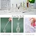 12 botellas atomizadoras de perfume de vidrio grabadas vacías con embudos Imagen de 12 botellas atomizadoras de perfume de vidrio grabadas vacías con embudos