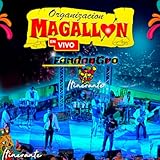 Organizacion Magallon