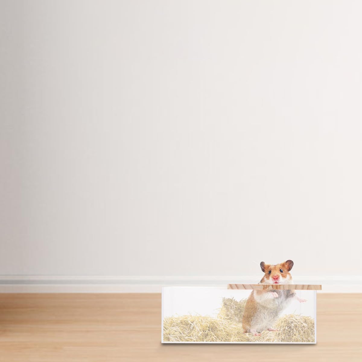 SOLUSTRE 2 Stück Acryl Hamsterbadewannen für Kleintiere Verschleißfeste und Glatte Oberfläche Transparenter Badebehälter für Zuhause und Tierladen