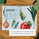 Saisonkalender für Obst und Gemüse im A4-Format mit handgemalten Illustrationen