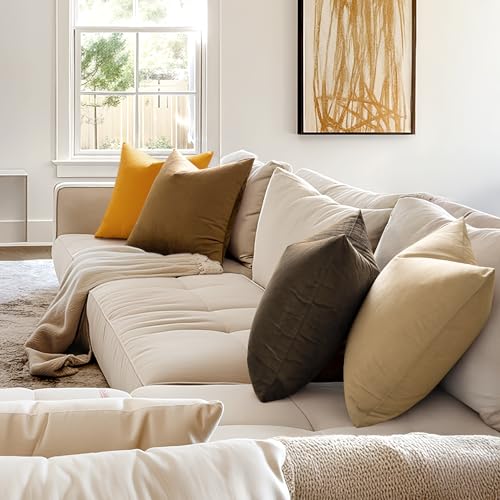 Image of MIULEE Velvet Throw Pillow Covers 20x20 Inch, Pack of 2 - Beige, Soft Solid Decorative Pillow Covers Cushion Cases Modern Luxury Home Decor for Spring Couch Sofa Bedroom Livingroom
