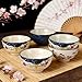 clothmile 4.5 Inch Japanese Retro Rice Bowls Set of 6 Japanese Style Hand-Painted Floral Plum Ceramic Bowls for Cereal, Soup, Dessert, Snack, Fruit, Salsa for Xmas Holiday Present
