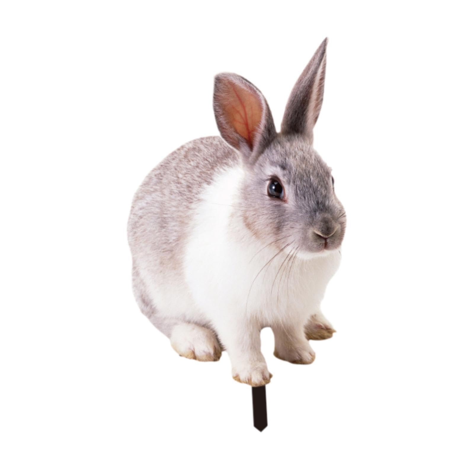 QIXCXAZ Rabbit Garden Sculpture Adorable Lifelike Animal Stake Unique Outdoor Decoration Beautiful Figurine For Everyone Decorative Rabbit Sculpture Floor, Style A