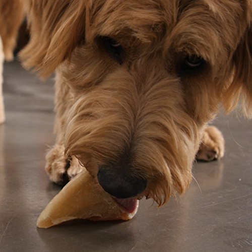 Pawstruck Peanut Butter Filled Cow Hooves for Dogs – Made in USA, Long-Lasting Dental Treats and Chews – Beef Hoof – 5 Count – Packaging May Vary - Thumbnail 6