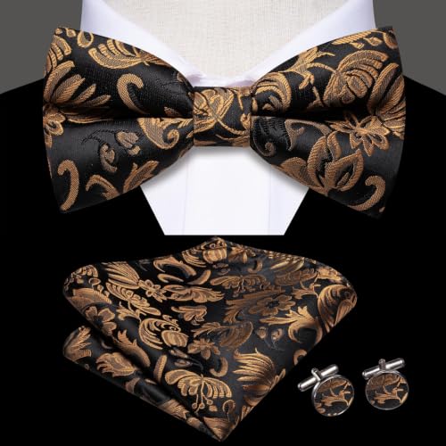 Image of Dubulle Mens Paisley Striped Bowtie Set Pre-tied Bowtie for Men and Pocket Square Set Wedding Business