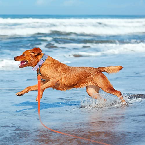 Wolfone 6m orange Schleppleine für Hunde,wasserdichte Trainingsleine, strapazierfähige und Pflegeleichte Leine, geeignet für Rückruf, Schwimmen, Camping, Strand, Jagd, Spaziergänge