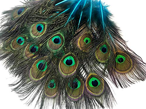 10 Pieces - Turquoise Blue Mini Natural Peacock Tail Body Feathers With Eyes Halloween Costume Craft Supplier | Moonlight Feather #TOP7