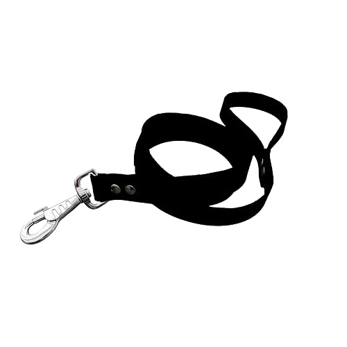 Correa para perro de material BioThane, ancho 25 mm (Negro)