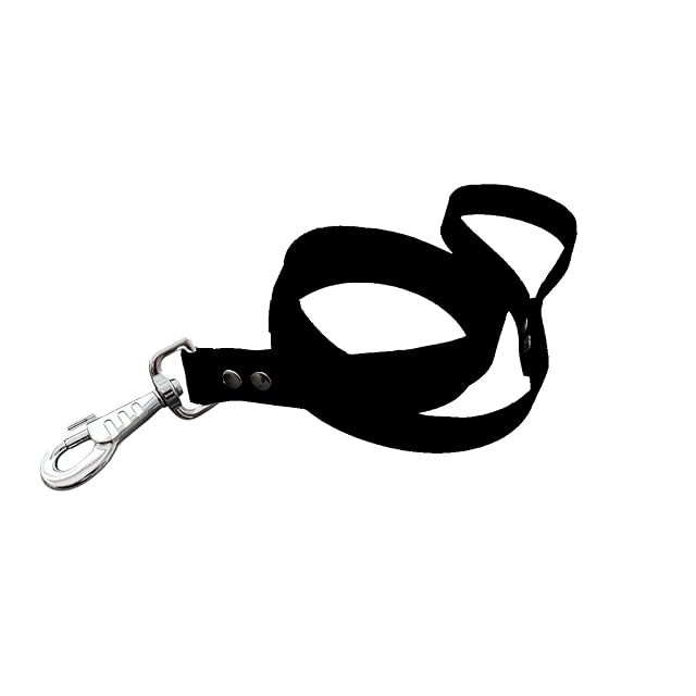 Correa para perro de material BioThane, ancho 25 mm (Negro)