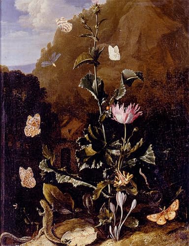 Impression d'affiches nature morte de chardon reproduction d'art sur toile 60x90cm