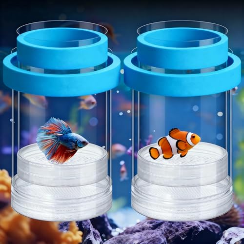 u[_[{bNX p 2pbN ^xr[tBbV^N t[eBO&}Eg\ȃbVAC\[Vi[T[ zՕt Obs[Ax^AGrAJNN}m~AUI܂͉(u[)