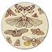 DJ Moth illustrations #1 Scratch Pad Vinyl Memorabilia 7