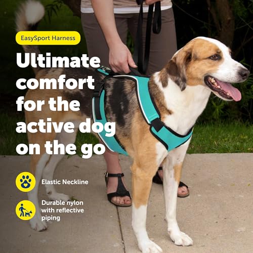 Image of PetSafe EasySport Harness - Padded Shoulder Straps - Fully Adjustable with Elastic Neckline - Ideal for Sport Dogs - Top Handle for Quick Control (Large, Teal Blue)
