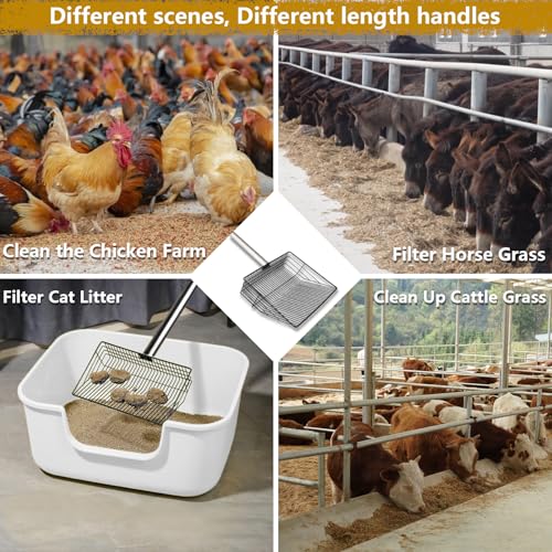 Image of 10 inch Large Multi-Purpose Chicken Poop Scooper,Poop Shovel for Chicken Coop Accessories, Coated Metal anti-rust design,22 to 68 inch Adjustable Stainless Steel Handle,Cleaning Tool for Dog Waste,Cat Litter