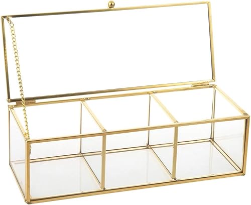 Feyarl Caja de té de vidrio dorado, organizador de exhibición de concha de mar, cosméticos, encimera, caja de frascos, almacenamiento de joyas,