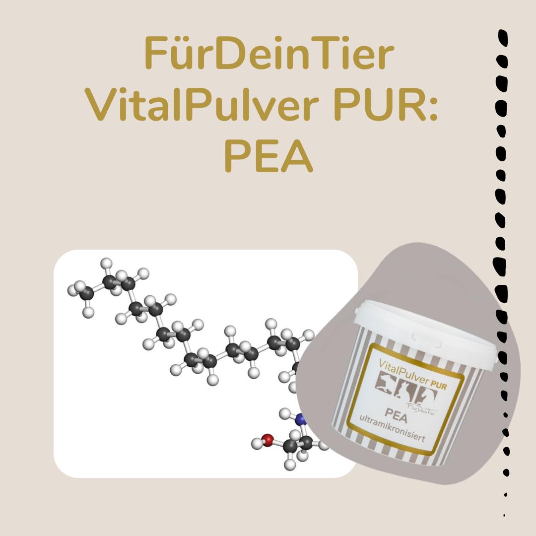 Für Dein Tier VitalPulver Pur | PEA (ultramikronisiert) (1 x 750 g) | 100% reines Palmitoylethanolamid | hergestellt für für Hunde, Katzen und Pferde | Hochwertiges Einzelfuttermittel