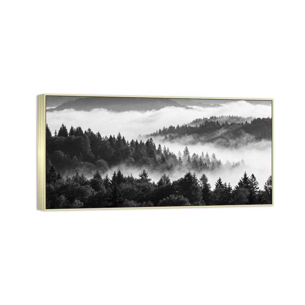 Tree Clouds 5 Black White Landscape Canvas Picture 50x100cm Silver Frame