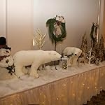 Review Image by DZD DZD