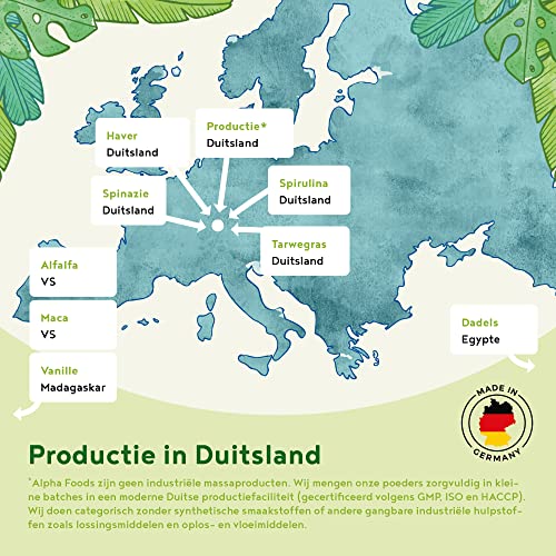 Morning Fuel - Ontbijt Smoothie Bowl - Havermout met vanille en matcha - Veganistisch, Voedingsstofrijk, Ontbijtvervanger - Afbeelding 6