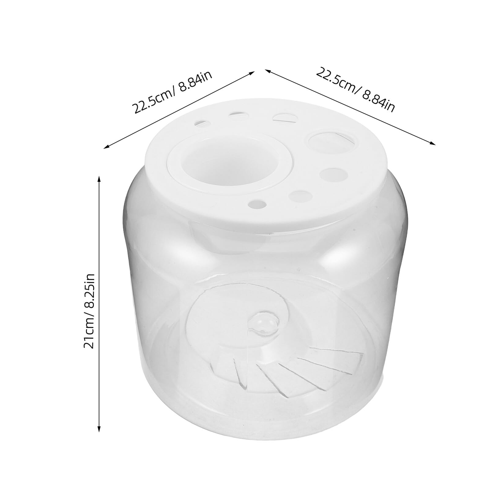 Przezroczysty Terrarium dla Małych Żółwi z Wbudowaną Platformą Do Wygrzewania Plastikowy Zbiornik z Pokrywą i Żwirem Startowy Do Hodowli Gadów Bezpieczne i Trwałe Środowisko dla