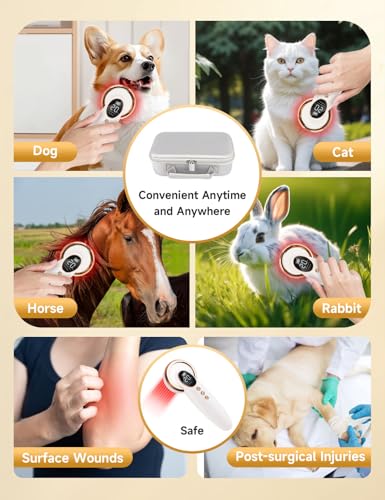 Image of Portable Cold Laser Therapy Device for Dog Cat Home Infrared Red Light Therapy Machine for Pain Relief, Arthritis, Pets Puppy Horse 808 /650 nm LLLT Vet Therapeutic Wand Hip Leg Joint Muscle Animal