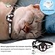 LipCat® Premium AirTag Katzenhalsband – Gepolstert, reflektierend & verstellbar – mit Sicherheitsverschluss & Fester Halterung für Apple AirTag, Schwarz