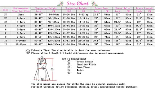 Rainbow Dress For Girls Easter Spring Lace Tulle Mesh Grils Summer Dress Flower Girls Party Dance Dress For Little Girls 3T #TOP6