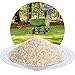 Produktbild 25 kg Spezial Rasensand zur Rasenpflege, Bodenauflockerung, für grünen Rasen, zur Belüftung des Bodens von Schicker Mineral (Premium-Rasensand, 0,8-1,6 mm)