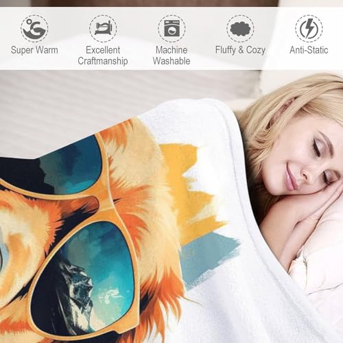 Couverture pour chien lavable pour protéger le canapé des poils