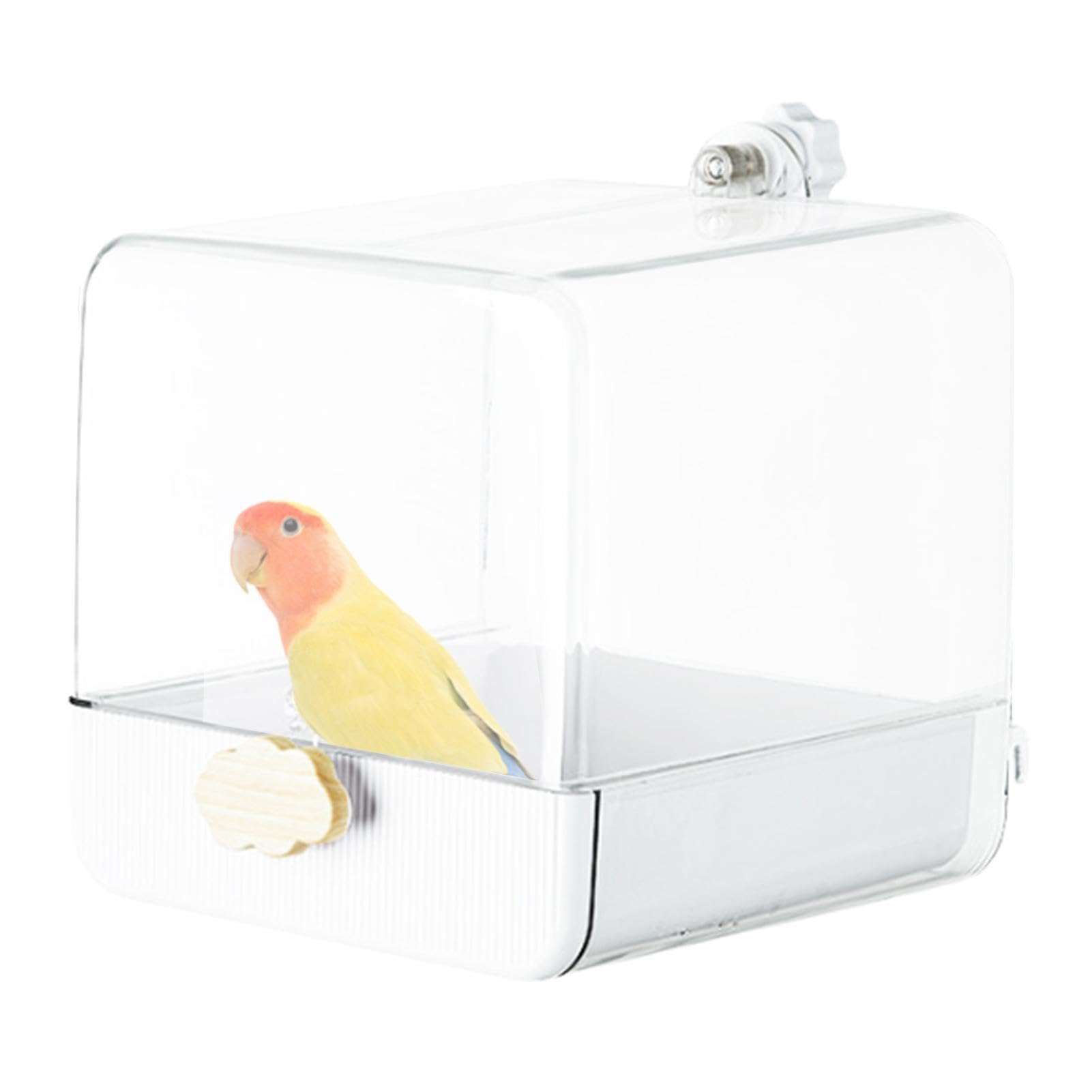 Bain d'oiseaux pour animaux de compagnie et petits perroquets pour des moments de jeu aquatique