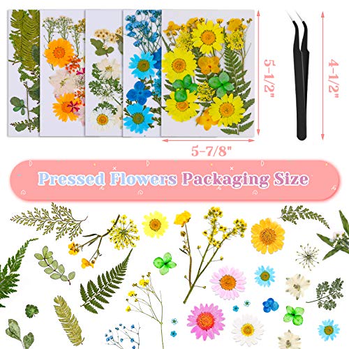 102Pcs Dried Pressed Flowers for Resin, Real Dried Flowers Leaves Bulk for Resin Molds Natural Dry Herbs Kit for Scrapbooking, Jewelry, Candle, Soap Making, Nails Décor, Art Supplies,Tweezers Included