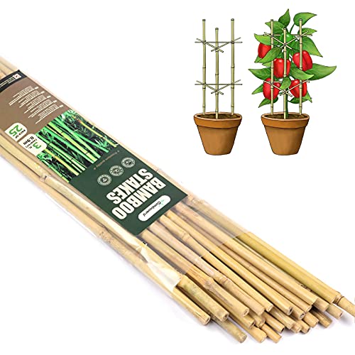 Cambaverd Bamboo Garden Stakes 3 Feet Plant Stakes for Roma Tomatoes Sunflowers Beans Potted and...