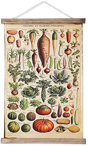 Antique Vintage Vegetables Hanging Poster, Retro Style of Plant Alphabet Wall Art Prints, Printed on Linen with Wood Frames, Ready to Hang