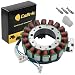 Caltric STATOR Fits SUZUKI Boulevard C90 VL1500 VL-1500 VL1500T 2005-2009