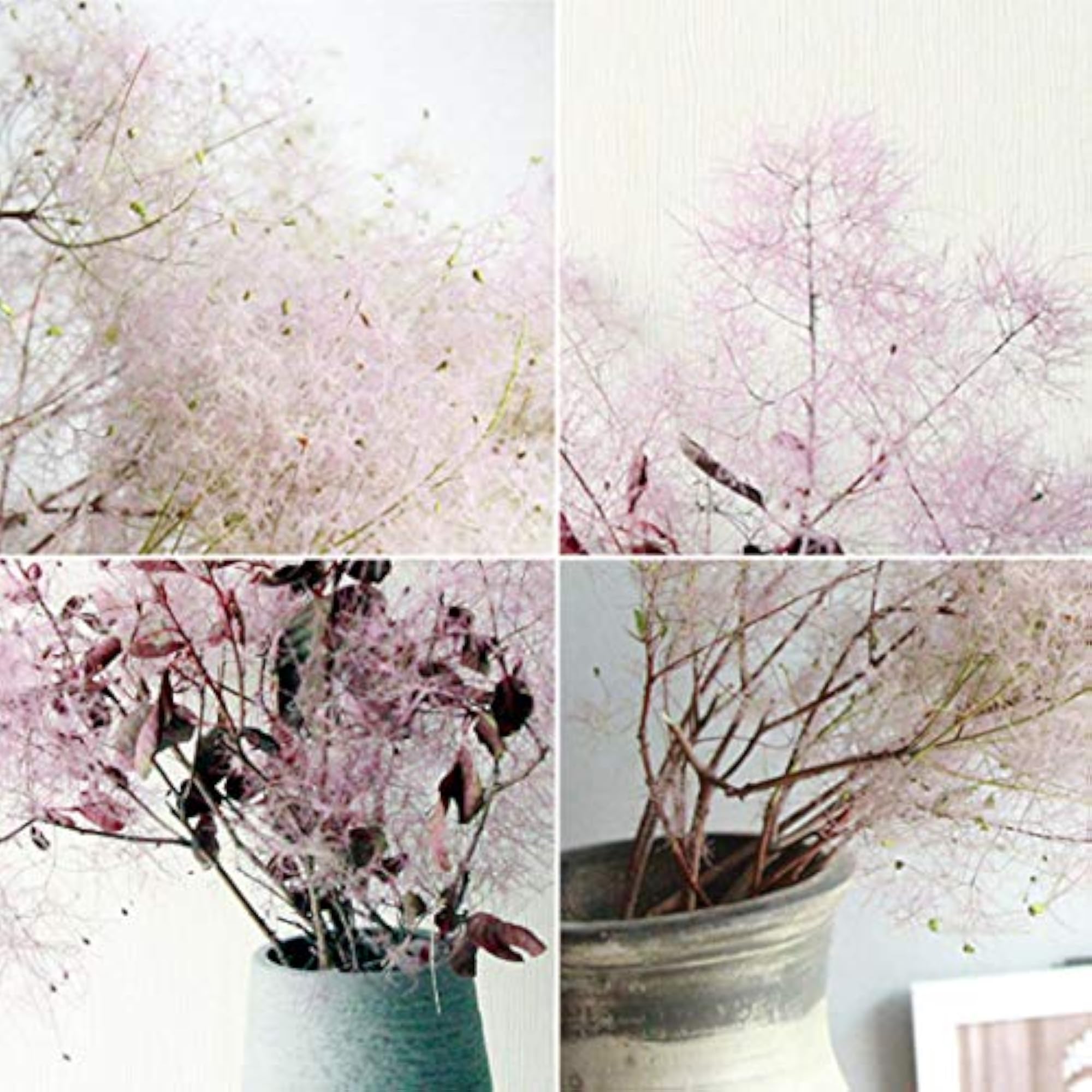 Multipurpose Dried Flower Decorative Craft Supplies
