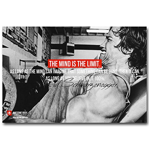 13X20Inch Arnold Schwarzenegger - Bodybuilding Motivational Silk Poster 13X20 Inch 029