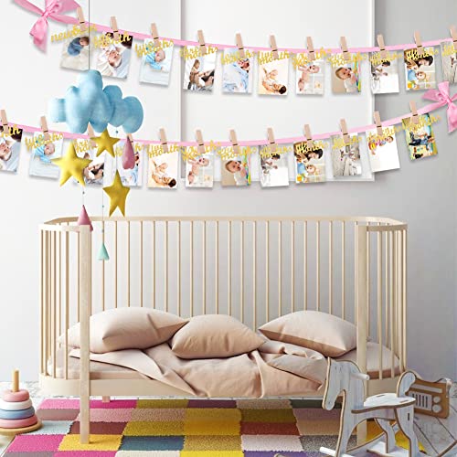Vgoodall 1St Birthday Baby Photo Banner For Girls, Pink First Birthday Photograph Banner From Newborn To 12 Months Baby Monthly Milestone Bunting Garland Cute Decoration For Baby Shower Celebration #TOP2