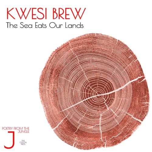 Kwesi Brew. The Sea Eats Our Lands.