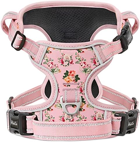 HEELE Dog Harness, No Pull Dog Harness Small, Release on Neck, Front Back Clips Dog Vest Harness Reflective Adjustable Padded, Easy Control Handle for Outdoor Walking Training, Turquoise, S